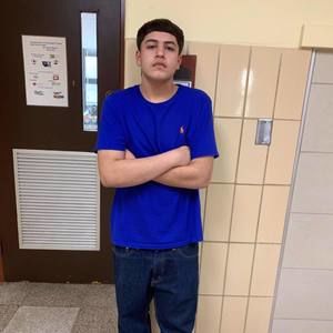 Meet your Posher, Rocky